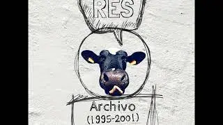 RES - Pose de pr&oacute;cer