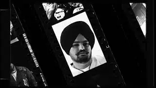 Sidhu moose wala with sunny leone with moltan