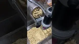 Pasta Production from 100 to 200lb h