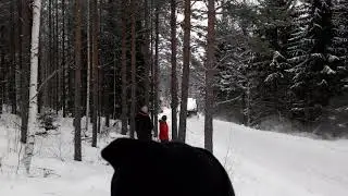 Jacob Jansson bergslagsrallyt 2019 ss4