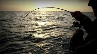 TRACK MOVING SNAPPER - YouFishTV