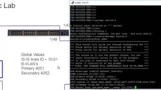 Настройка сервисного узла Extreme Network Fabric Connect