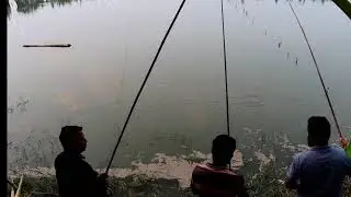 Best fishing Rara catch amazing village fishing in bangladesh Fishing director Live Stream
