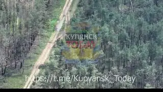 AFU Soldiers Flee Positions Near Kupyansk. 