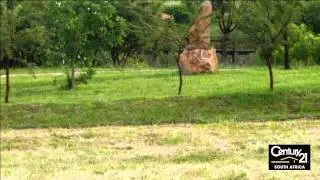 Vacant Land For Sale in Six Fountains Residential Estate, South Africa for ZAR 1,145,000...