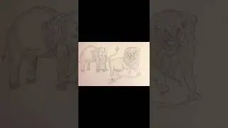Sketchbook tour - Animal drawing practice #animaldrawing #sketchbook #pencildrawing #art #animalart