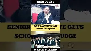 Senior Advocate gets Schooled by Judge #judge #highcourt #advocate #shortvideo