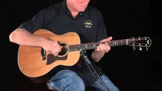 Taylor Guitars 