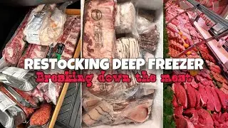✨NEW✨HOW I STOCK MY DEEP FREEZER | BULK MEAT | LOCAL FARMER ? 🧑🏽‍🌾🐓AT HOME GROCERY STORE #butcher