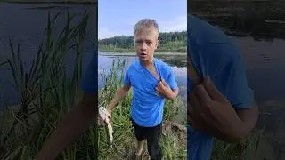 Щука напала на человека 😲 #рыбак #fishing #рыбалкавидео #снасти #ужасы #спиннинг #трофей #интересно