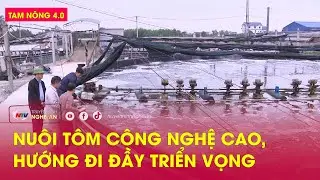 Tam nông 4.0: Nuôi tôm công nghệ cao, hướng đi đầy triển vọng