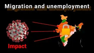 Lockdown impact on migration and unemployment