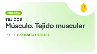 Músculo – Tejido muscular | Biología | Tejidos | V7 | Egg Educación