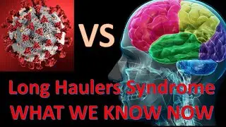 LONG HAULERS SYNDROME vs The Brain | Cognitive Expert - Camma Love | Research & Treatment Strategies