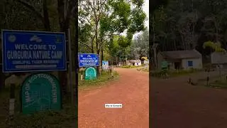 The Enchanting Waterfalls & Nature Camp of Simlipal #shorts