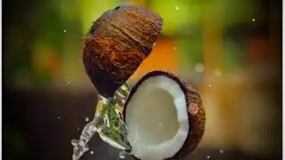 Feel The Music Whatsapp Status | Love Mashup Status | New Whatsapp Status | Romantic Mashup Status