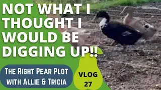 Not what I thought I would be digging up!!