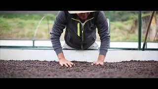 Fazenda UM - parte 3
