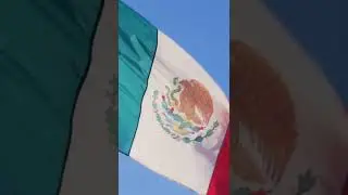 Why Do Mexico's State Flags Suck? #shorts