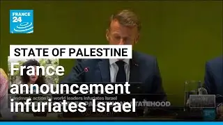 France recognises Palestine as a state: A landmark action that infuriates Israel &bull; FRANCE 24