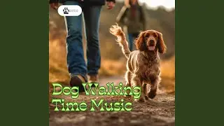 Pet Care Therapy