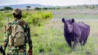CHARGED BY BLACK RHINO!! Game Drive in South Africa