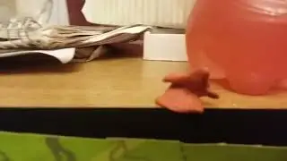clay world; p3