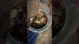 Treasure found in Indian village