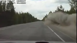 SolidShibe driving