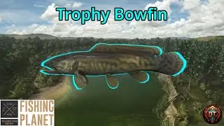 Fishing Planet - Trophy Bowfin Mudwater River