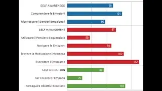 Competenze Emotive e Performance: quale correlazione?