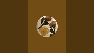ASMR satisfying video lots of 🍫 popsical #live viral#live stream#subscriber