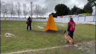 XXlX Copa de España IGP RSCE.