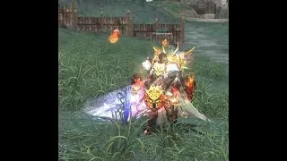 Реворк Дестра в Lineage 2 Essence