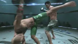 Spinning Kick KO | Conor McGregor vs Max Holloway Knockout #ufc #ufc5
