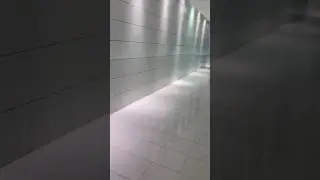 Resident Evil 4 IRL/ Silo 5 #GETFUCKED