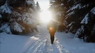 Harzfeeling