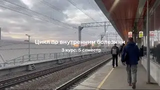 будни в медицинском | учёба на стомат факультете | цикл по внутренним болезням