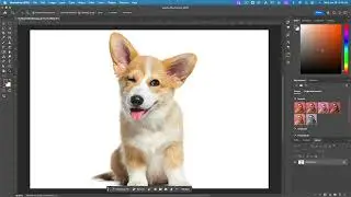 Photoshop Tasks 1-10