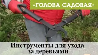 Голова садовая - Инструменты для ухода за деревьями