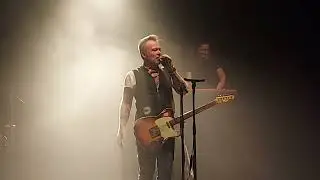 The Boss Tribute to Springsteen - Jersey Girl