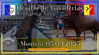 Montroy 05/09/2025 ▪️  Desafio de Ganader&iacute;as ▪️ La Paloma VS Fernando Machancoses.