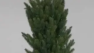 Assembly Instruction for Glitzhome 7.5ft Pre-Lit Green Pencil Pine Artificial Christmas Tree.