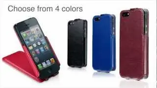 Dausen iPhone 5 Flip Stand Case