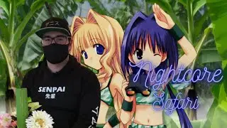 Nightcore - Dizaro - Safari [DENIZ] Lyrics