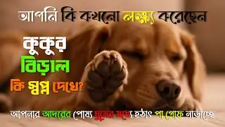 কুকুর বিড়াল কি স্বপ্ন দেখে? | Do Pet Animals Dream? | #Dog #Cat #facts #animals #animalfacts #dream
