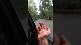 vlog 1 #yercaudvlog#vlog#yercaudsalem