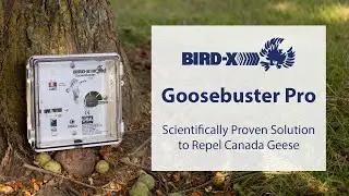 GooseBuster PRO: The Science-Based Solution for Canada Geese Control