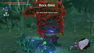 Poe x10, Kawikatisar Lightroot | The Legend of Zelda: Tears of the Kingdom (NS)