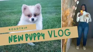 VLOG| ROAD TRIP + NEW PUPPY!